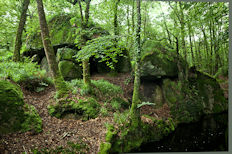 Le dolmen de Franchie sur le canal