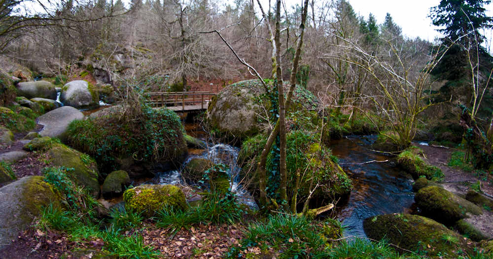 la mare aux sangliers