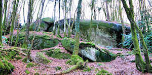 Des chaos de rochers  dans les bois de la roche cintre